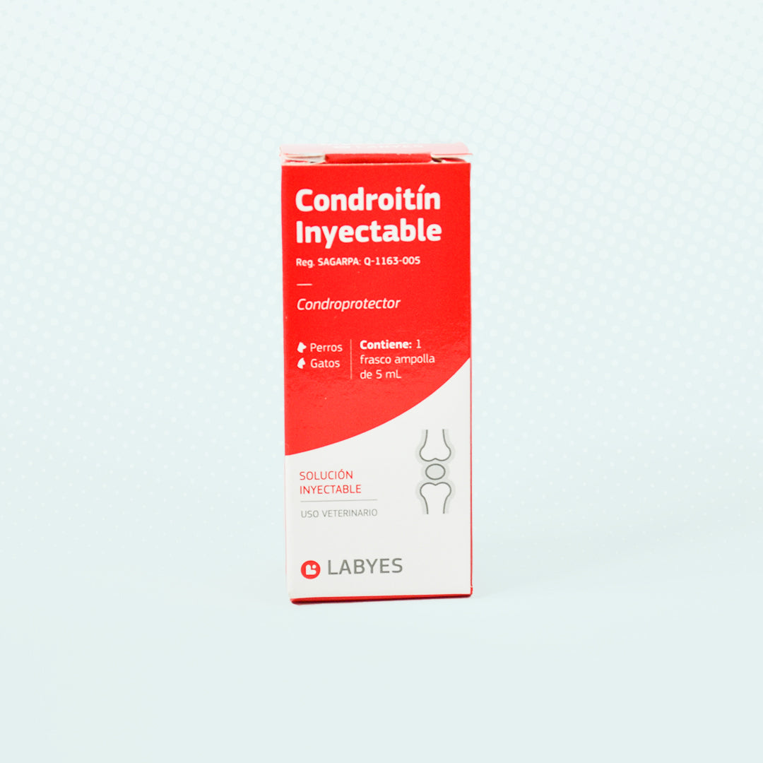 Condroitin 5 ml