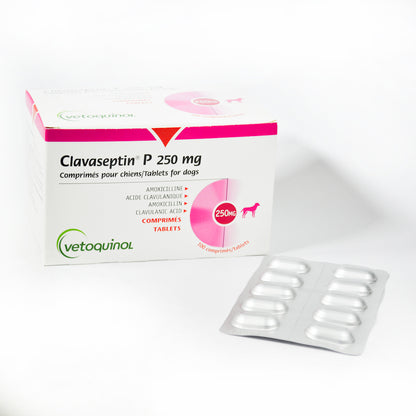 Clavaseptin P 250mg 100 comp