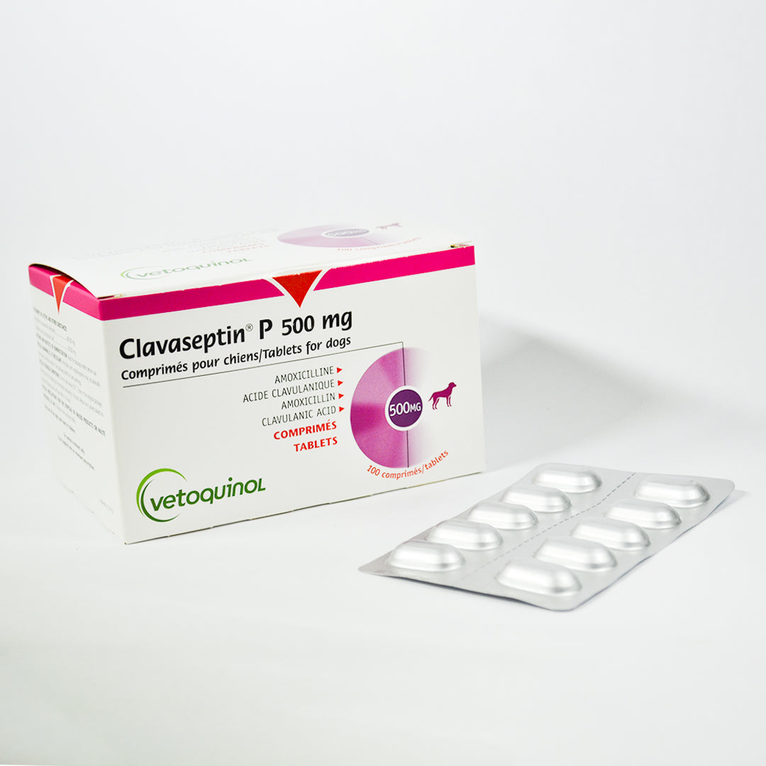 Clavaseptin P 500mg 100 comp