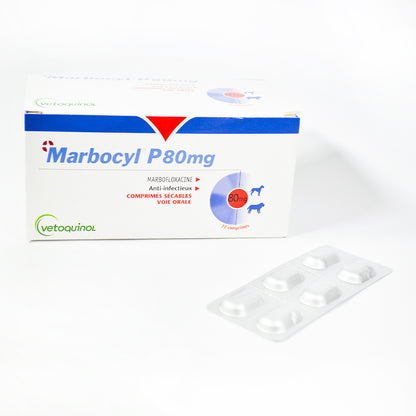 Marbocyl P 80 mg